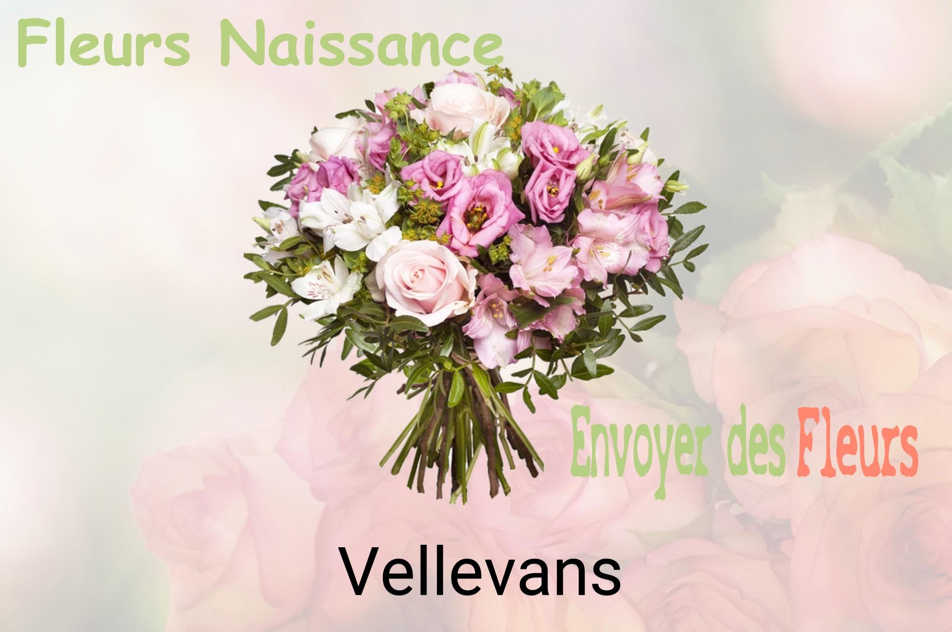 Bouquet de fleurs de naissance livré à Vellevans